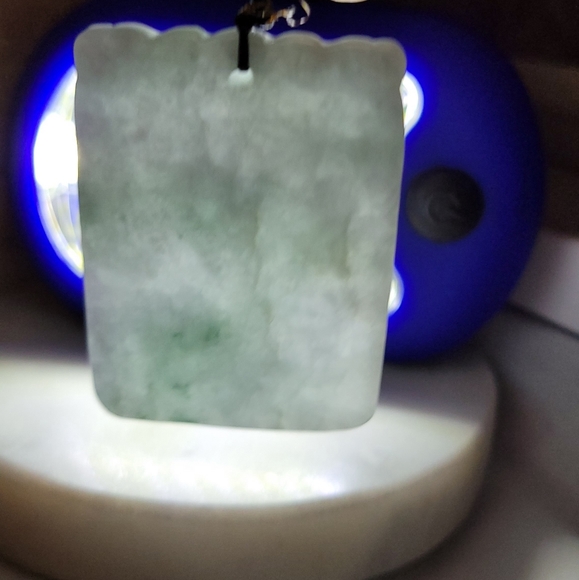 NWT Genuine Certified Jadeite Fish in Lotus Pond Pendant Necklace - Picture 7 of 8